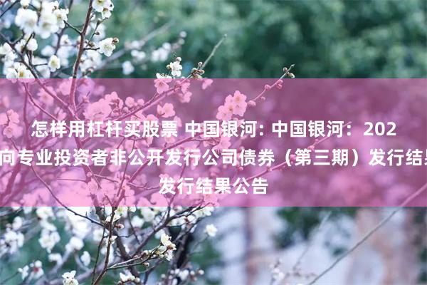 怎样用杠杆买股票 中国银河: 中国银河:2024年面向专业投资者非公开发行公司债券(第三期)发行结果公告