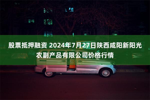 股票抵押融资 2024年7月27日陕西咸阳新阳光农副产品有限公司价格行情