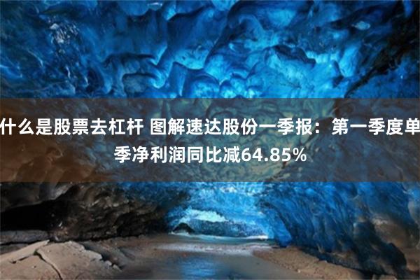 什么是股票去杠杆 图解速达股份一季报：第一季度单季净利润同比减64.85%