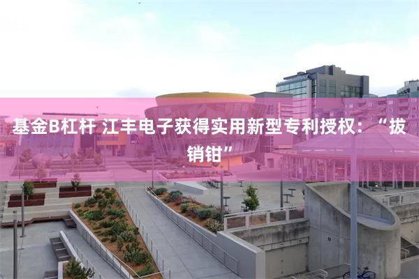 基金B杠杆 江丰电子获得实用新型专利授权：“拔销钳”