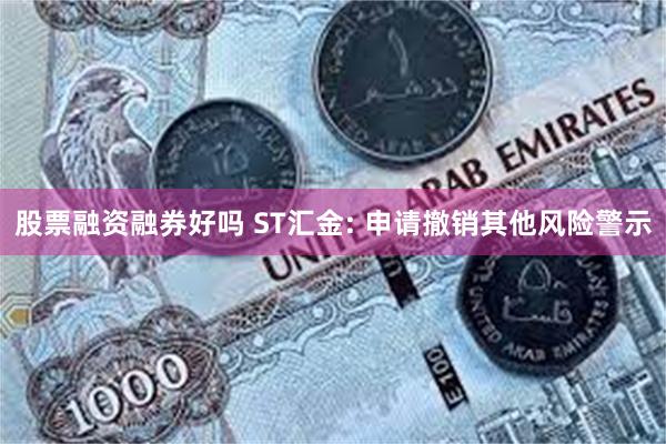 股票融资融券好吗 ST汇金: 申请撤销其他风险警示