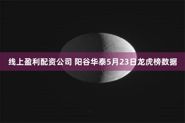 线上盈利配资公司 阳谷华泰5月23日龙虎榜数据