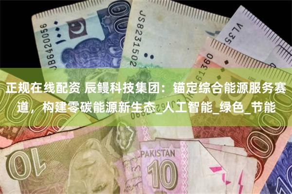 正规在线配资 辰鳗科技集团：锚定综合能源服务赛道，构建零碳能源新生态_人工智能_绿色_节能