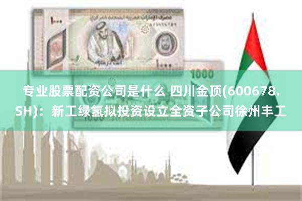 专业股票配资公司是什么 四川金顶(600678.SH)：新工绿氢拟投资设立全资子公司徐州丰工