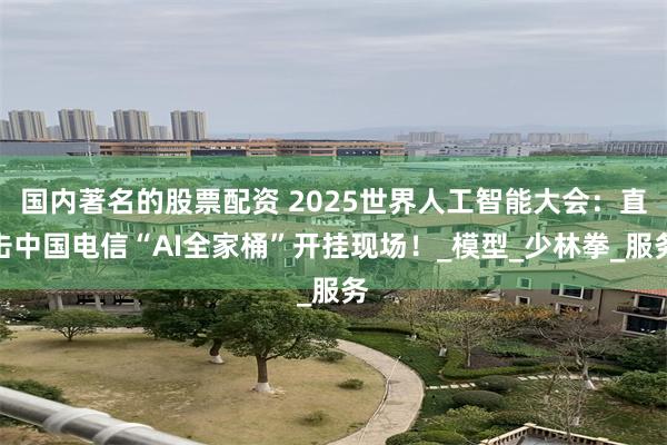 国内著名的股票配资 2025世界人工智能大会：直击中国电信“AI全家桶”开挂现场！_模型_少林拳_服务