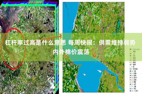 杠杆率过高是什么意思 每周快报：供需维持弱势 内外棉价震荡