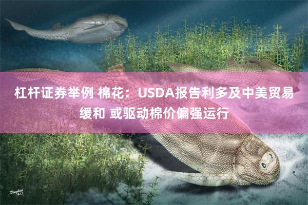 杠杆证券举例 棉花：USDA报告利多及中美贸易缓和 或驱动棉价偏强运行