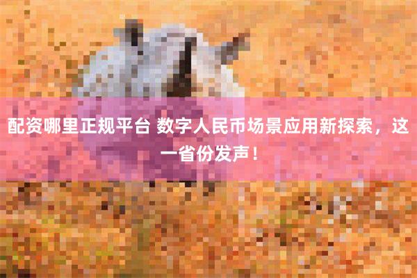 配资哪里正规平台 数字人民币场景应用新探索，这一省份发声！