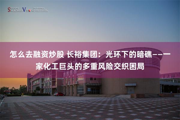 怎么去融资炒股 长裕集团：光环下的暗礁——一家化工巨头的多重风险交织困局