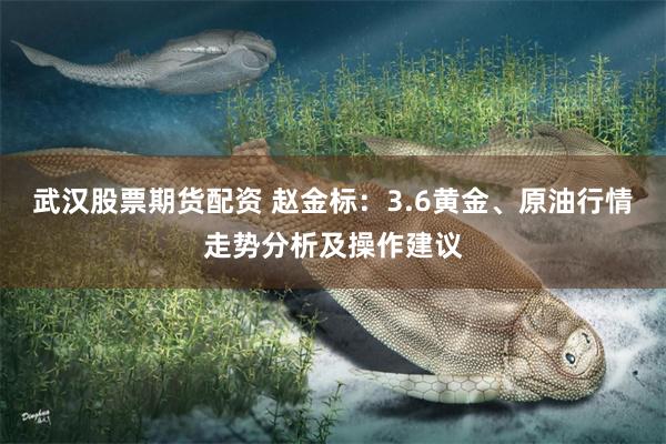 武汉股票期货配资 赵金标：3.6黄金、原油行情走势分析及操作建议